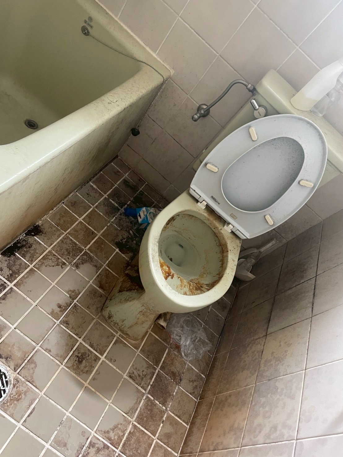 トイレ清掃 ビフォー